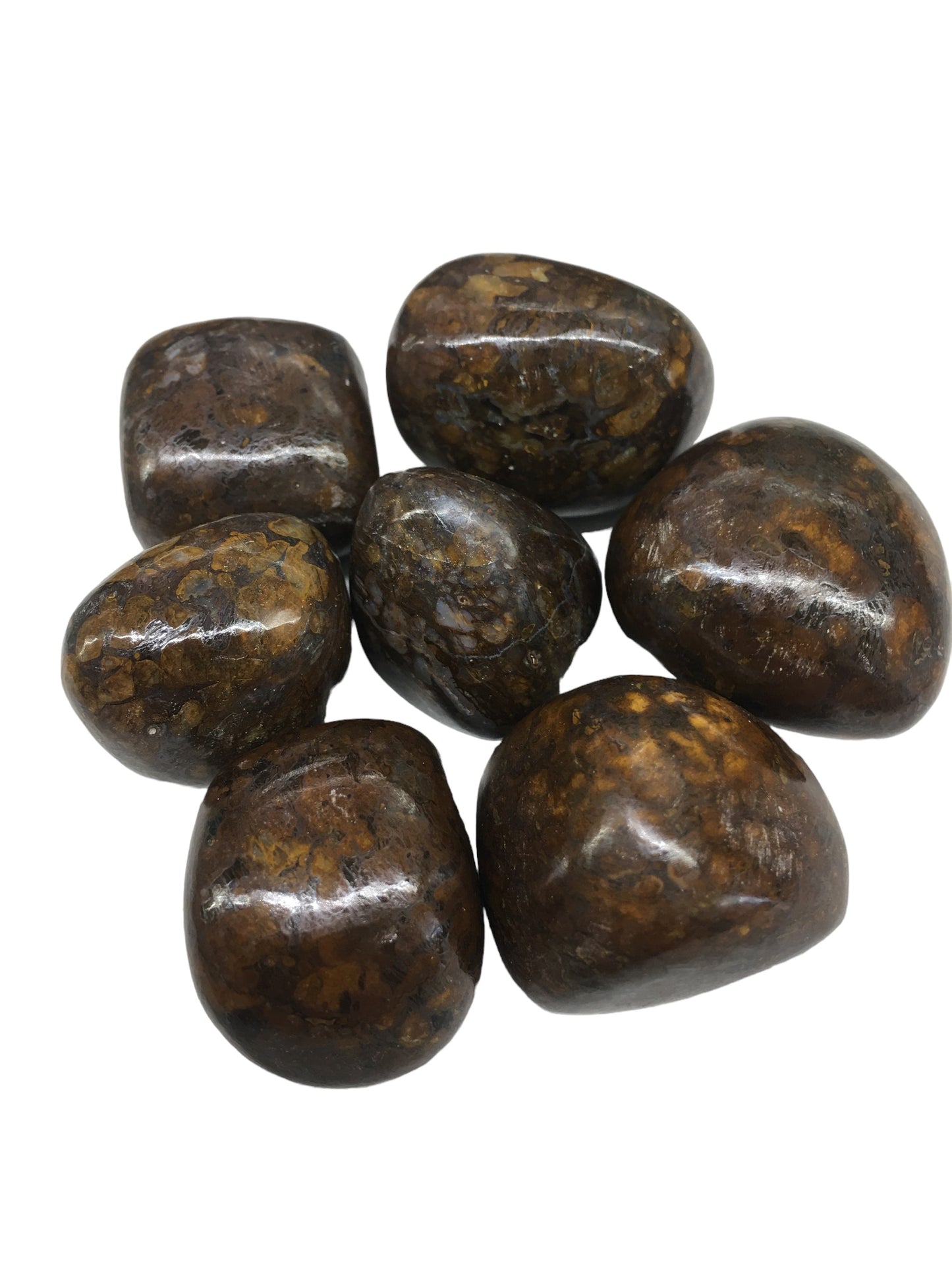 Dinosaur Opal Tumbled