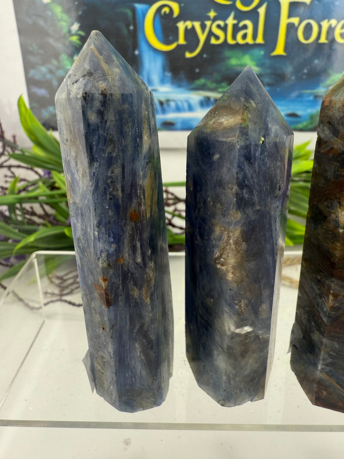 Blue Kyanite Points