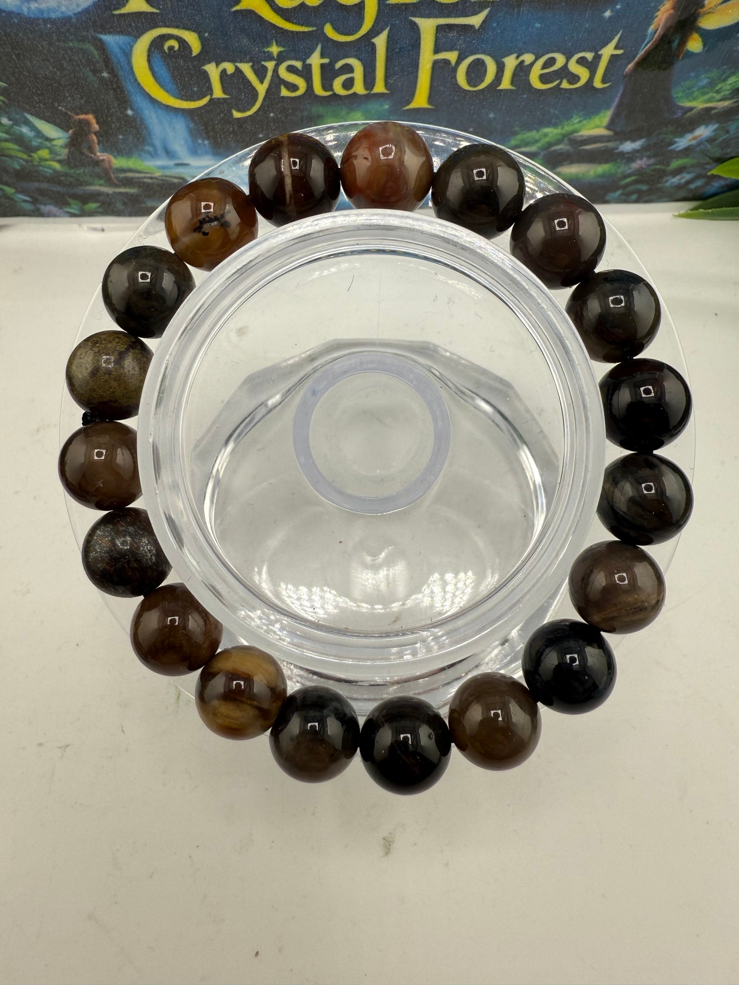 Petrified Wood Bead Bracelet 8mm