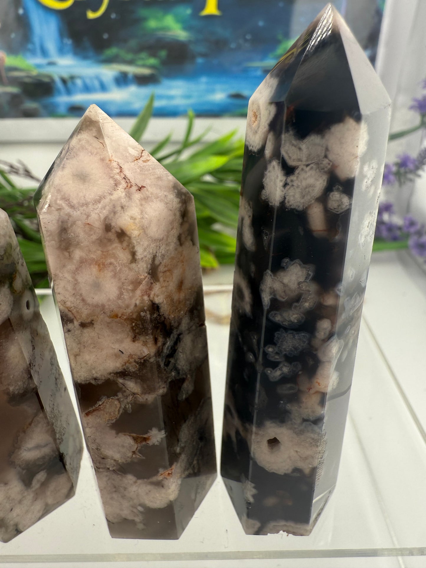 Black Flower Agate Points