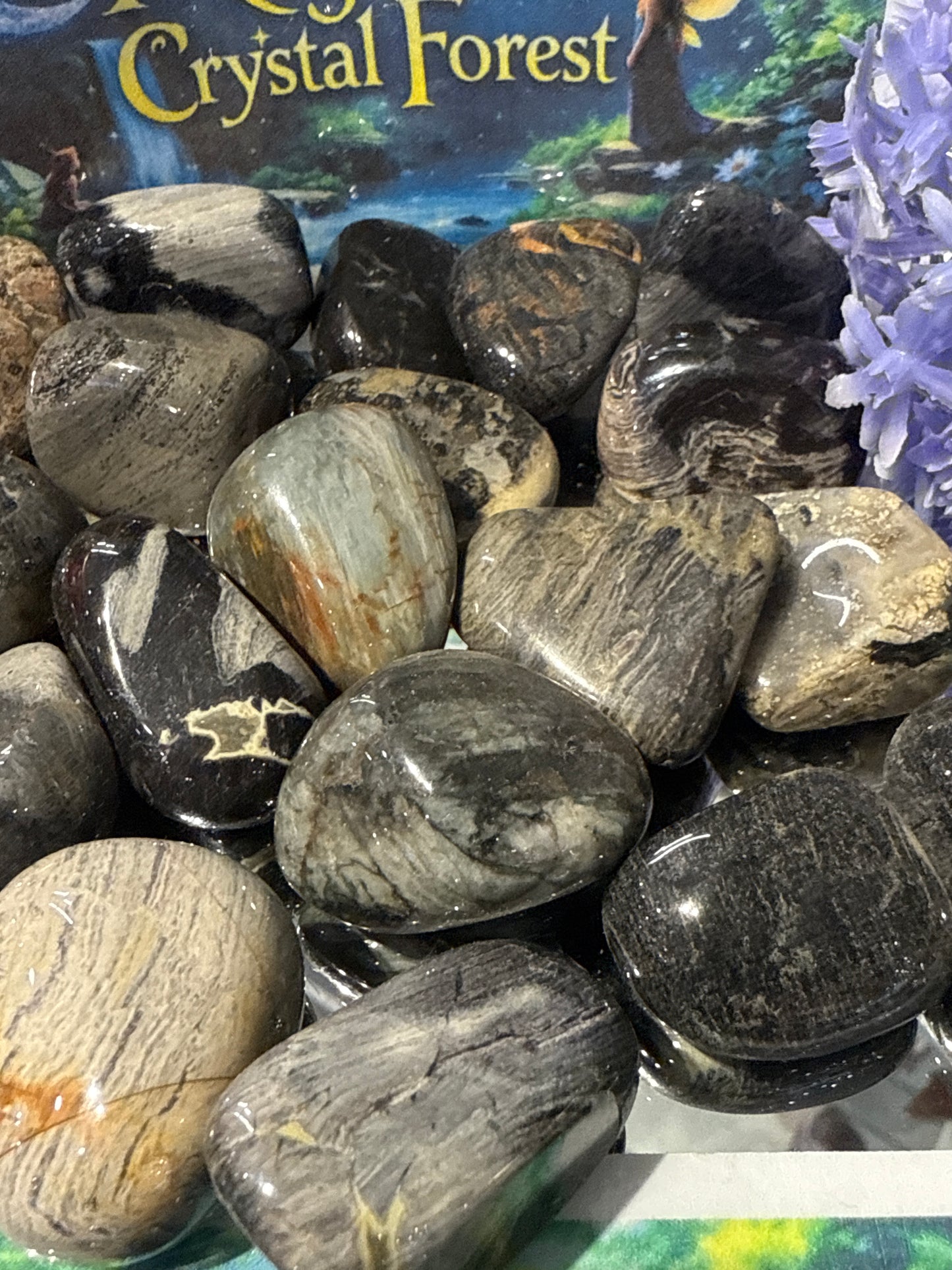 Black Silver Leaf Jasper Tumbled