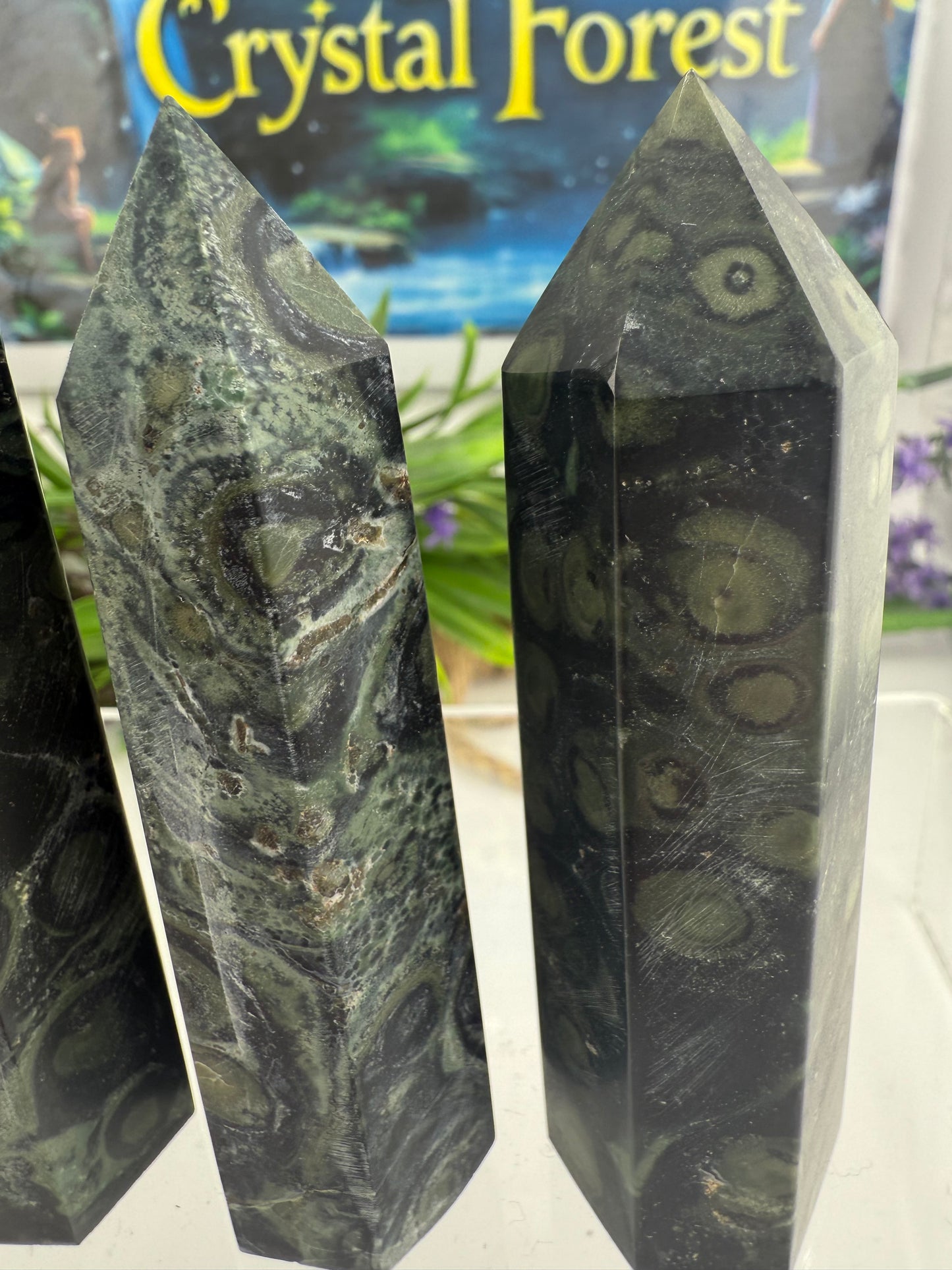 Kambaba Jasper Points