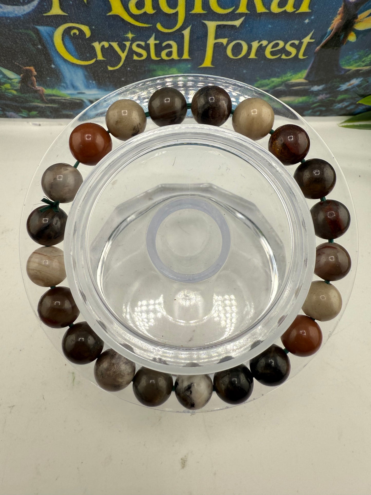 Petrified Wood Bead Bracelet 10mm