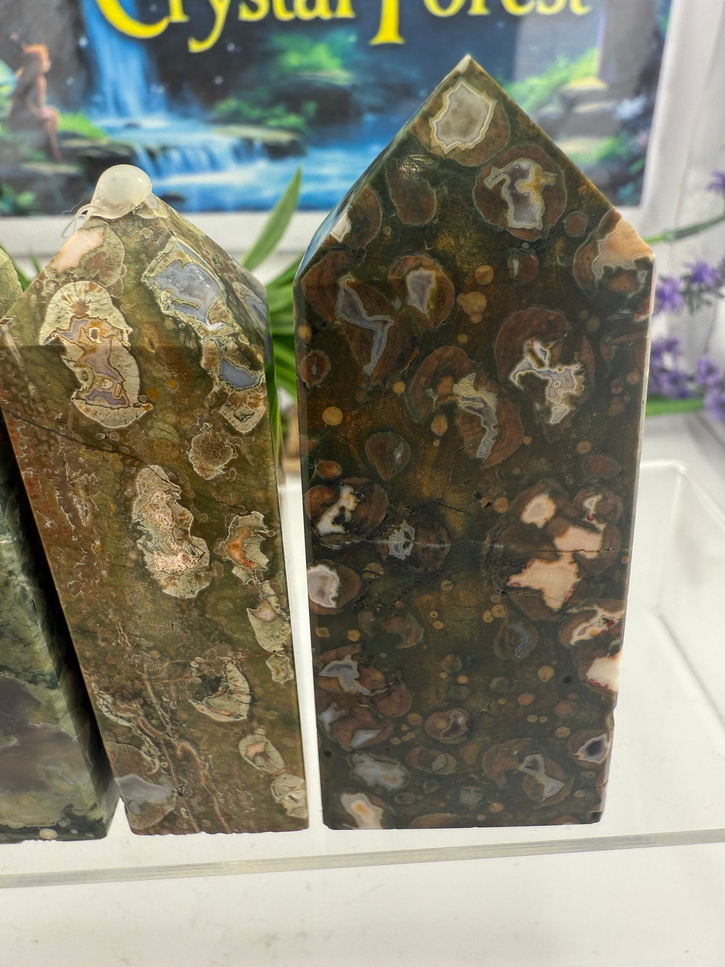 Rainforest Jasper (Rhyolite) Points