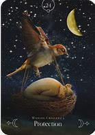 Queen Of The Moon Oracle - Stacey Demarco