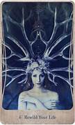DIVINE NATURE ORACLE