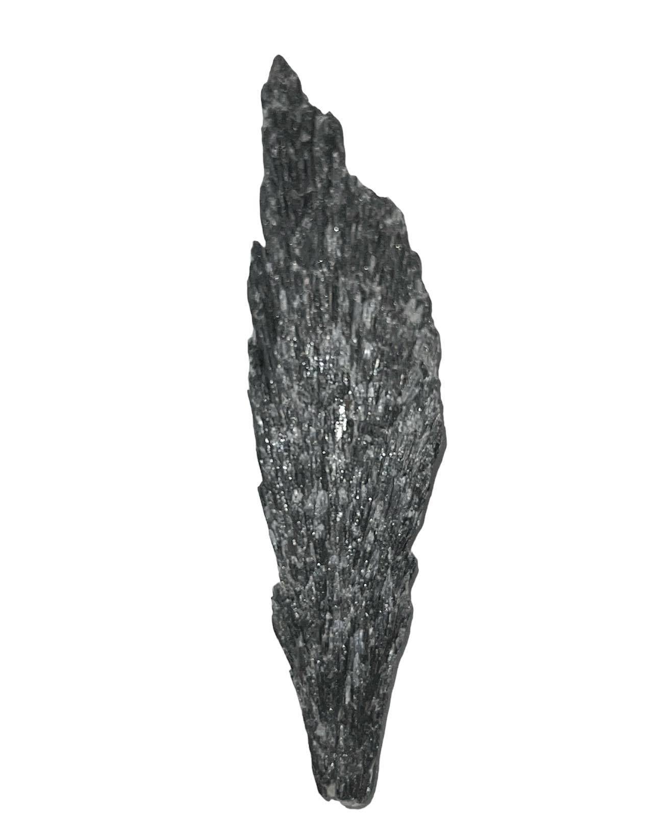 Black Kyanite Natural Crystal