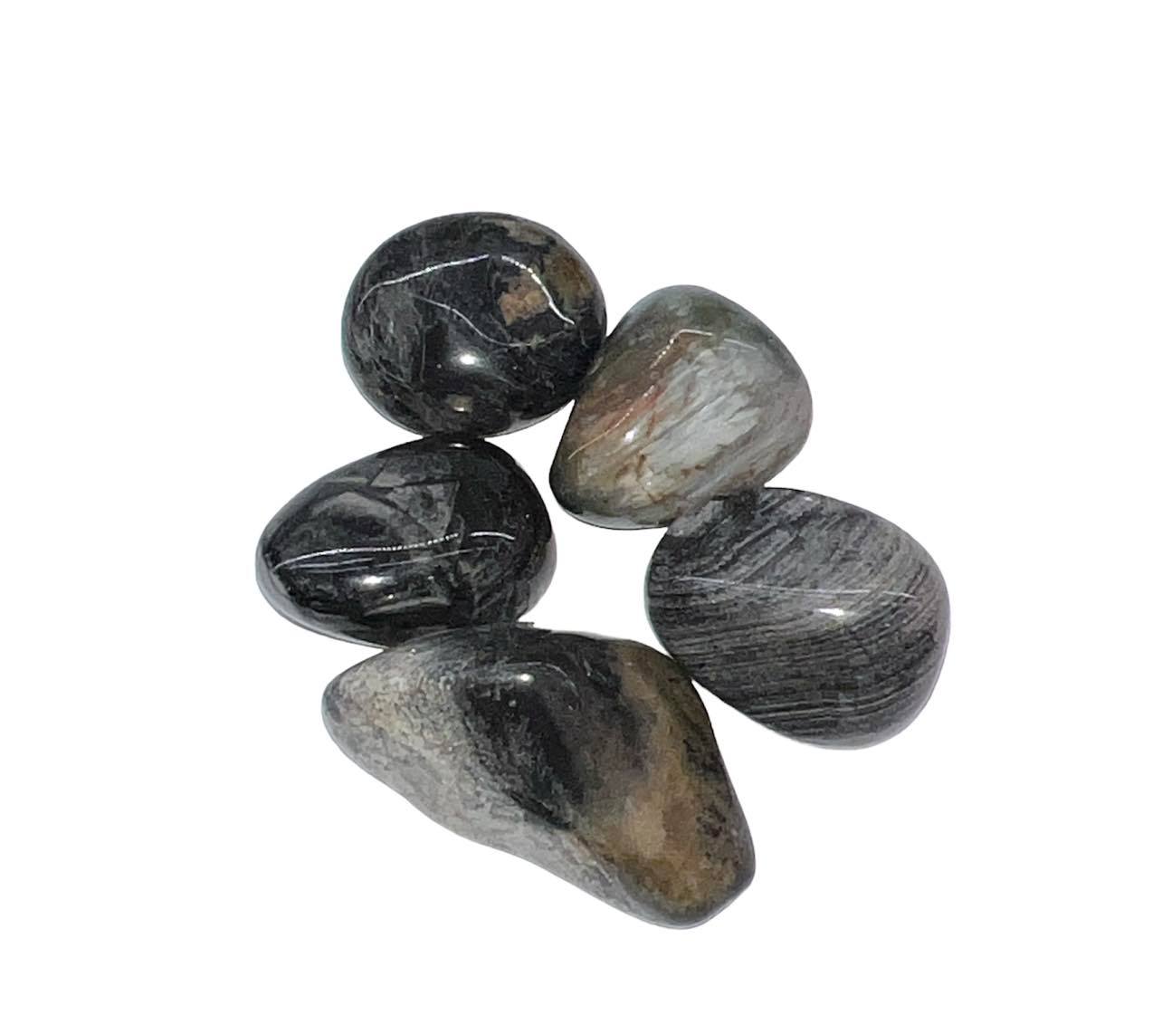 Black Silver Leaf Jasper Tumbled