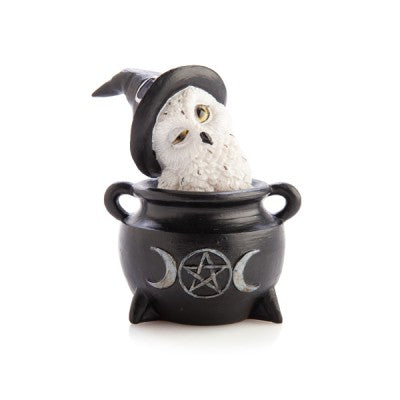 Owl in cauldron