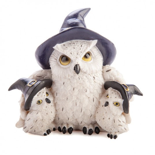 Owl Family