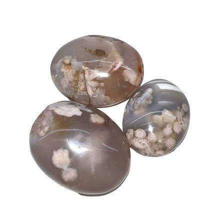Flower Agate Palm Stones