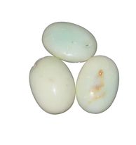 Chrysoprase Palm Stones