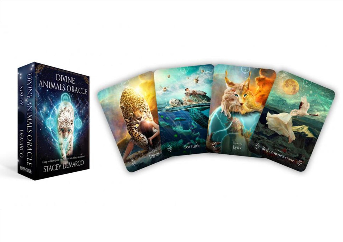 Divine Animals Oracle - Stacey Demarco