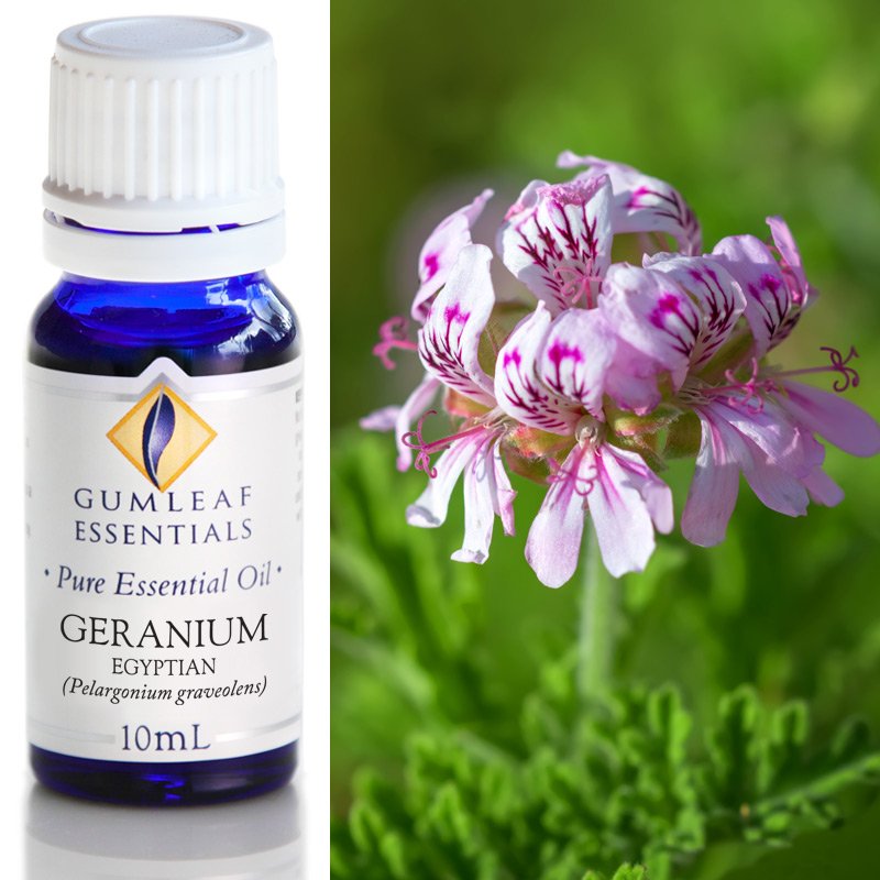 Geranium Essential Oil