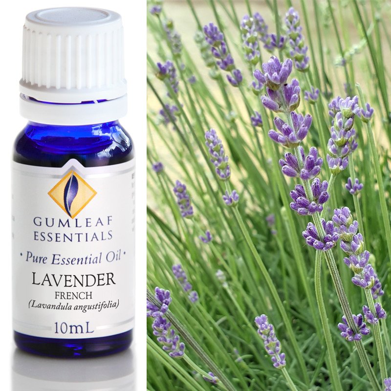 Lavender Essential Oil