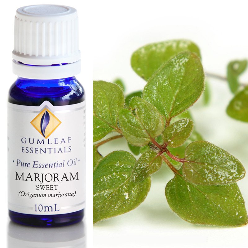 Marjoram Essential Oil