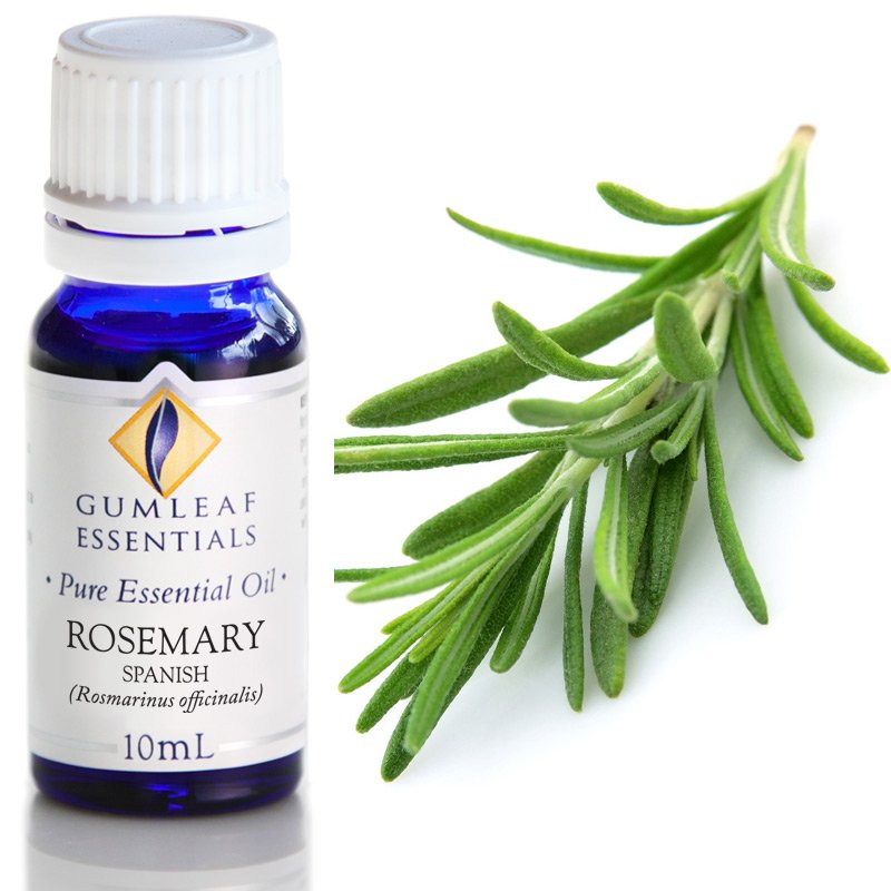 Rosemary Essential Oil