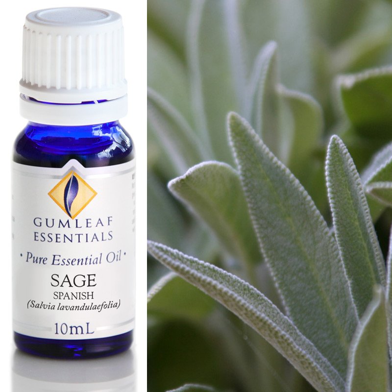 Sage Essential Oil