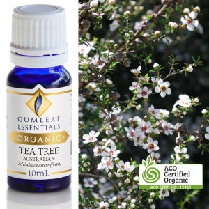 Organic Tea Tree Essential Oil