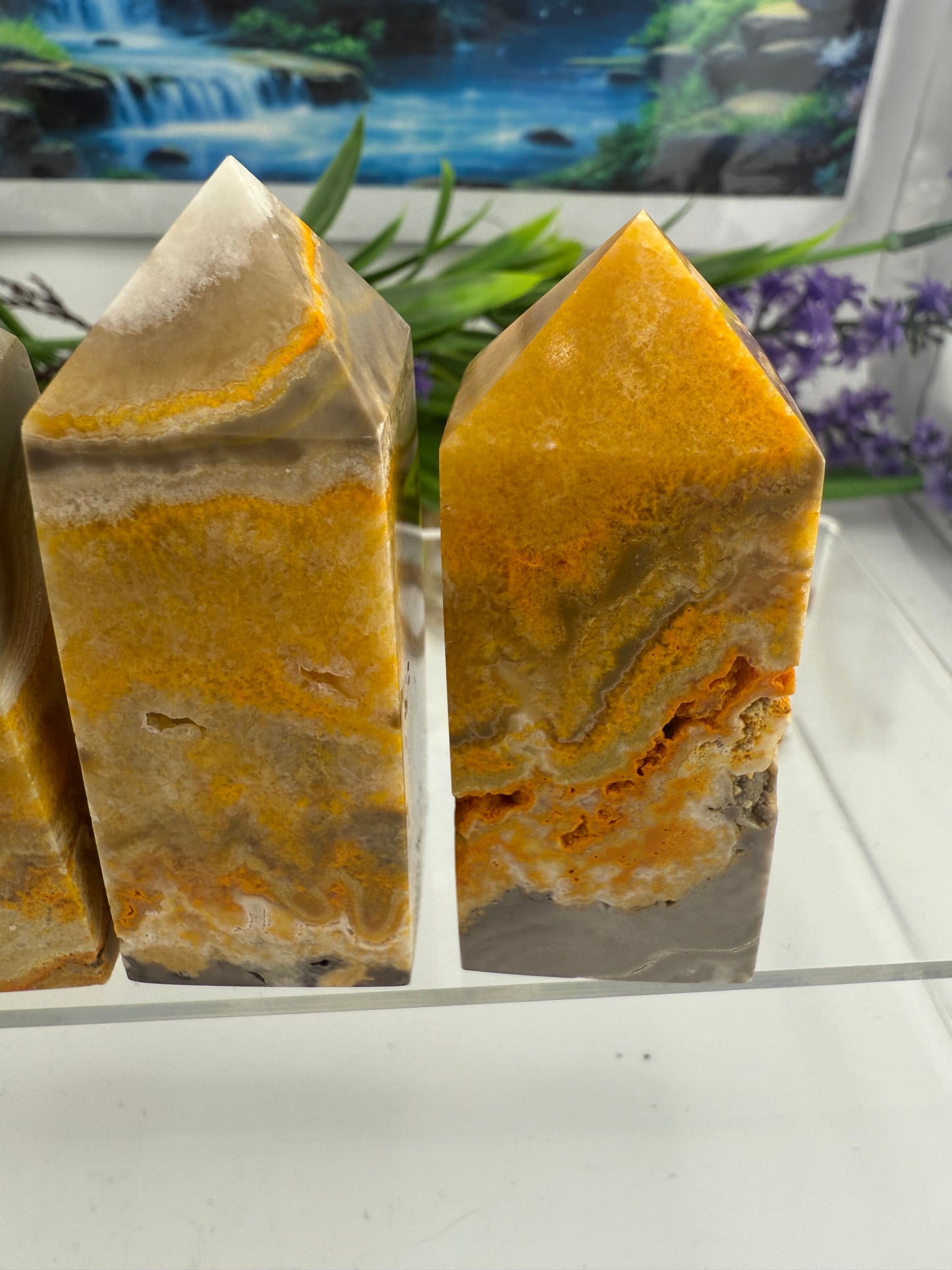 Bumble Bee Jasper Points
