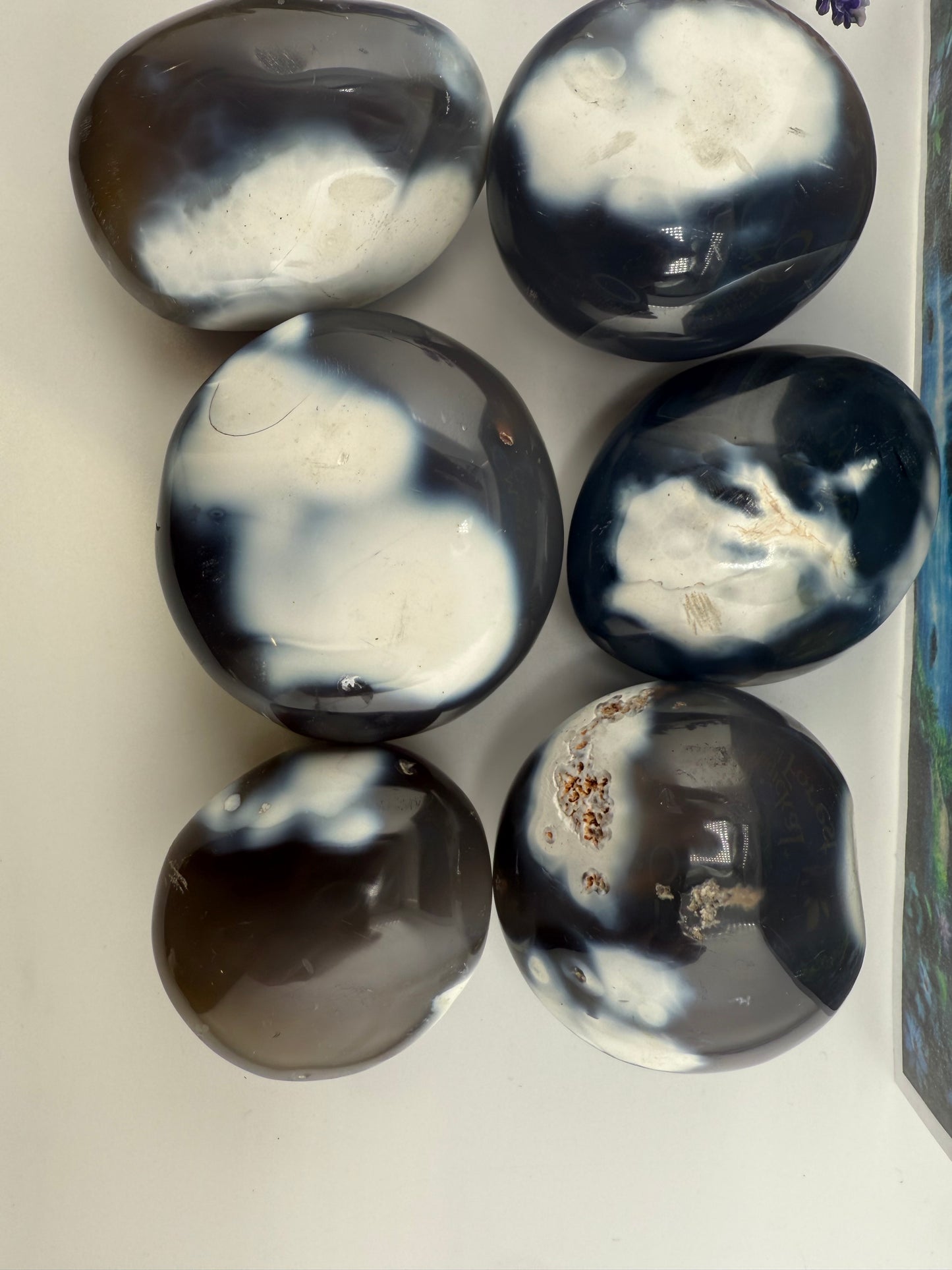 Orca Agate Palm Stone