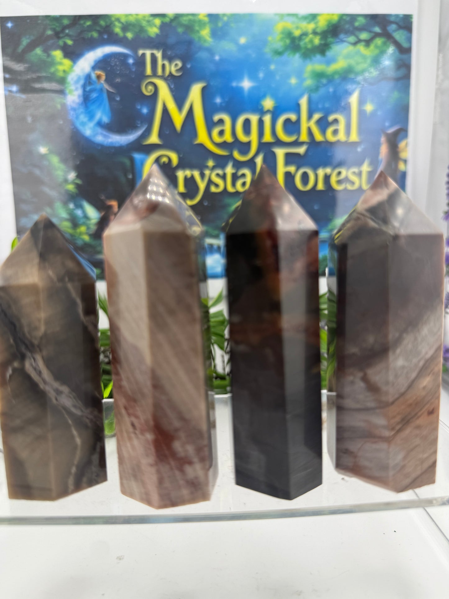 Petrified Wood Point