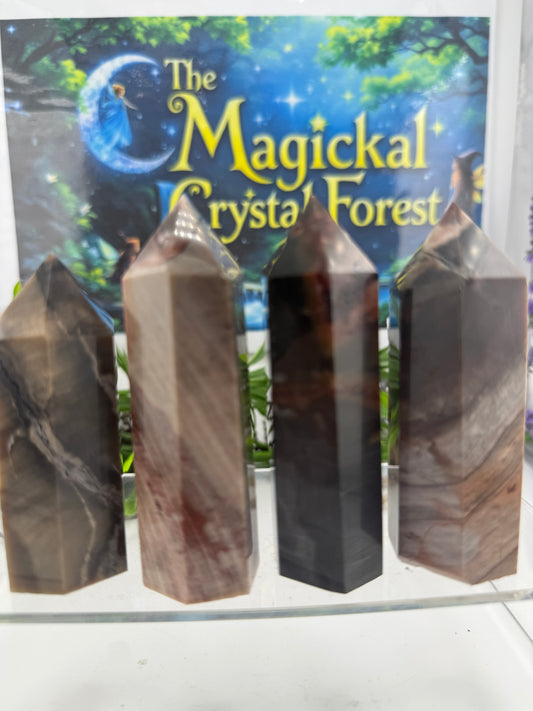 Petrified Wood Point