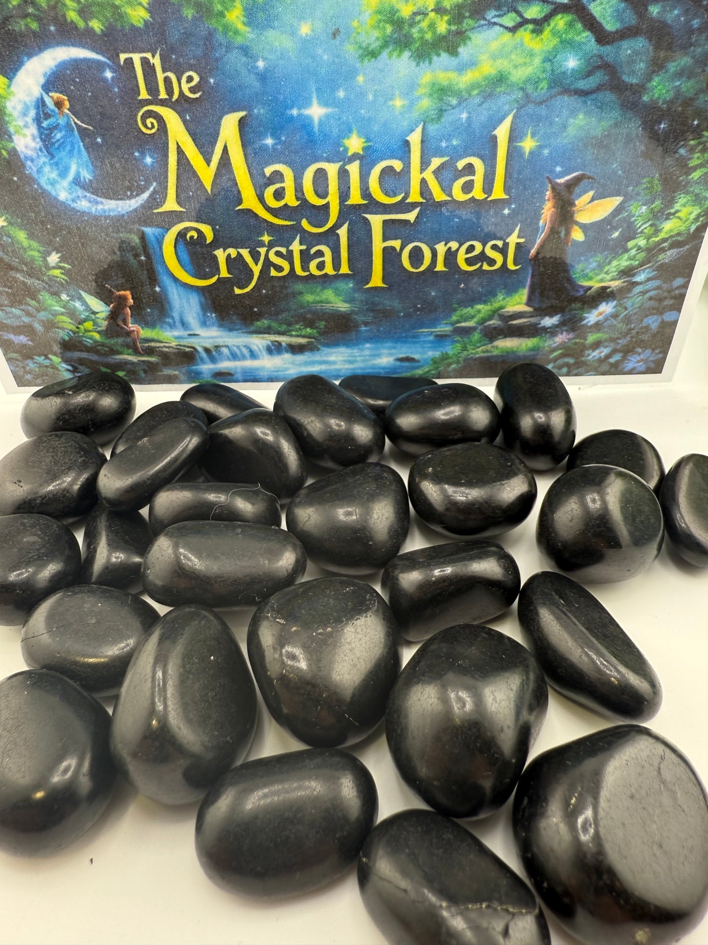 Shungite Tumbled
