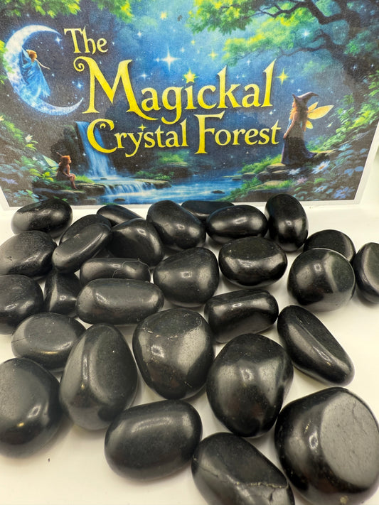 Shungite Tumbled