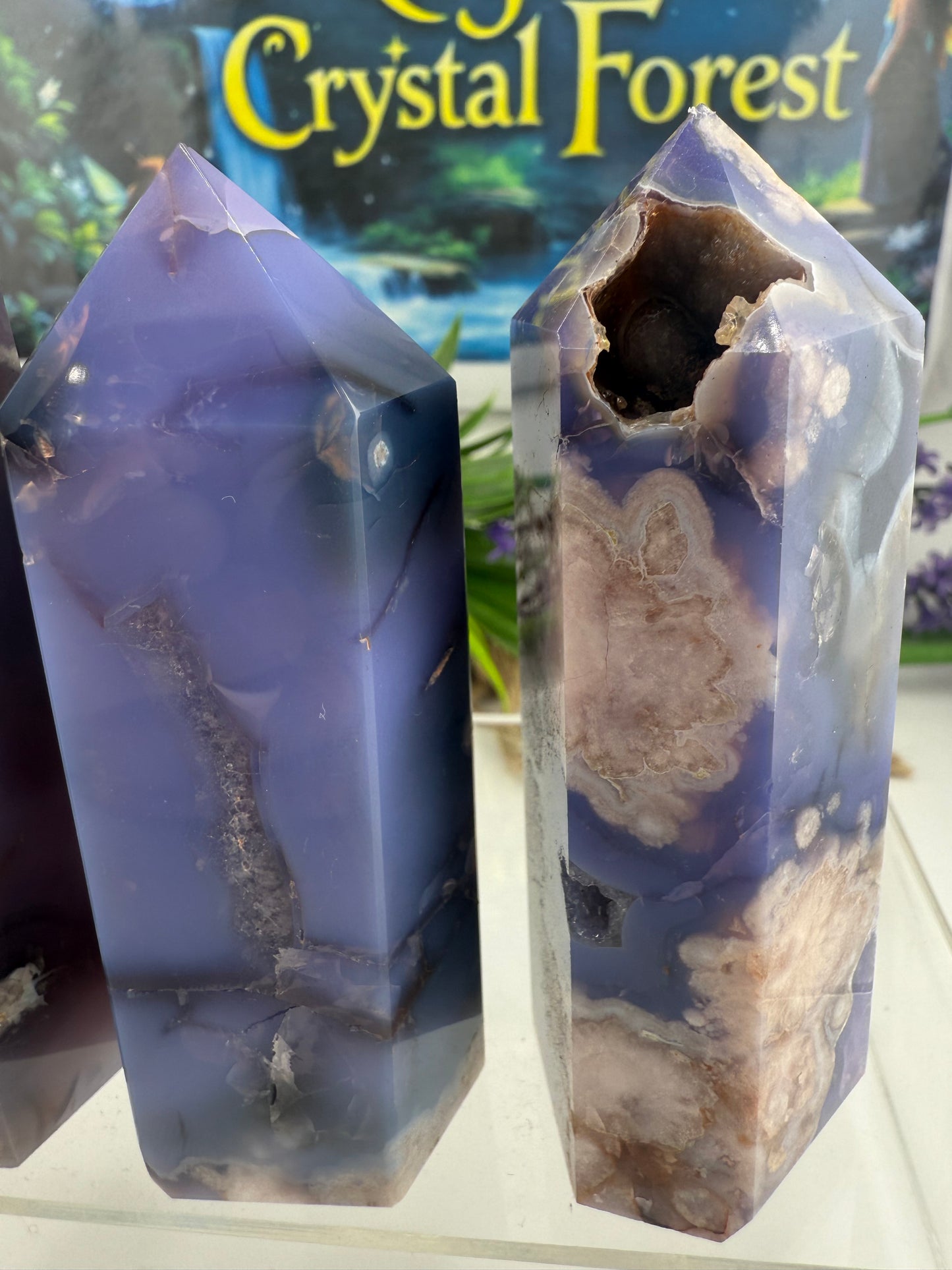 Blue Flower Agate Points