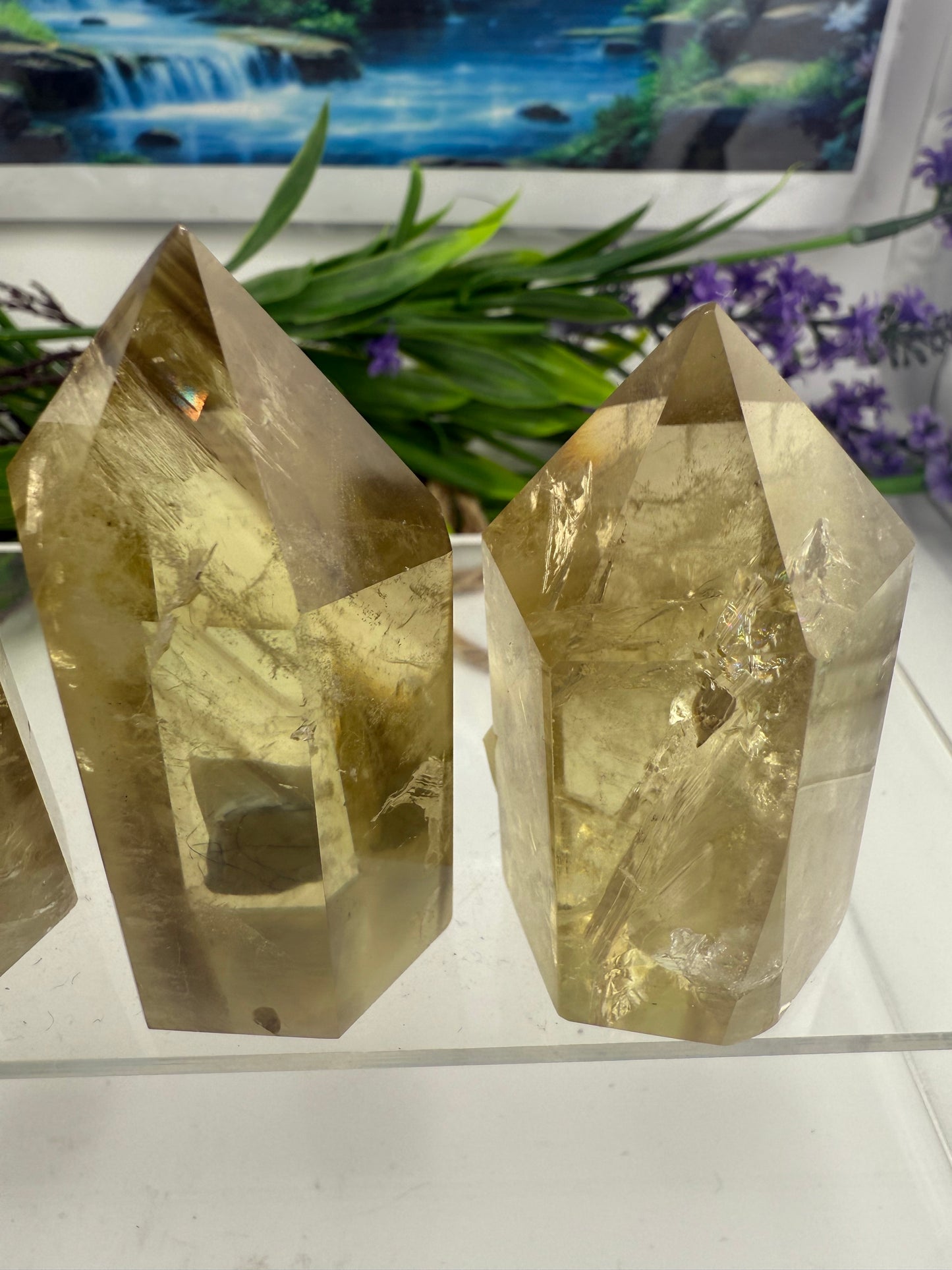 Citrine Points