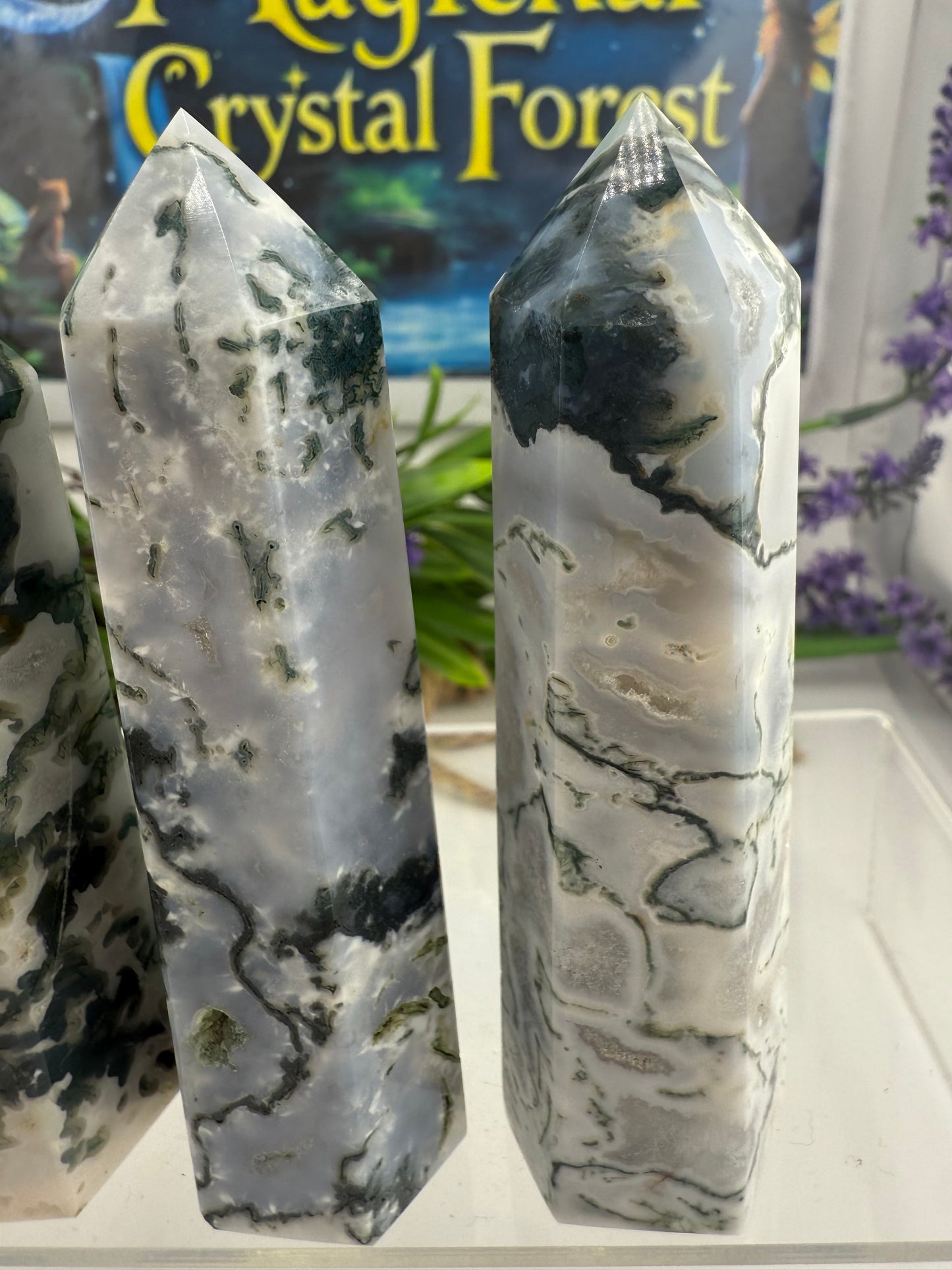 Tree Agate Points