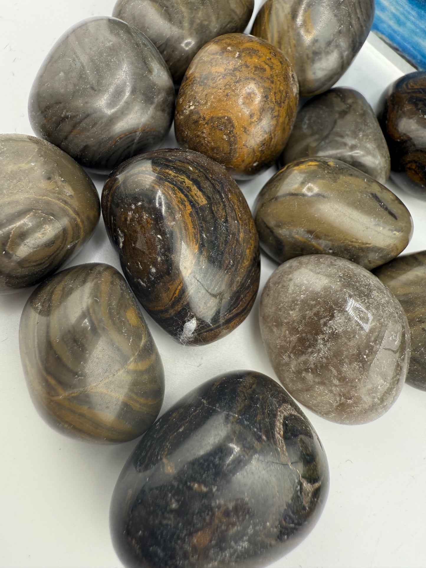 Stromatolite Tumbled