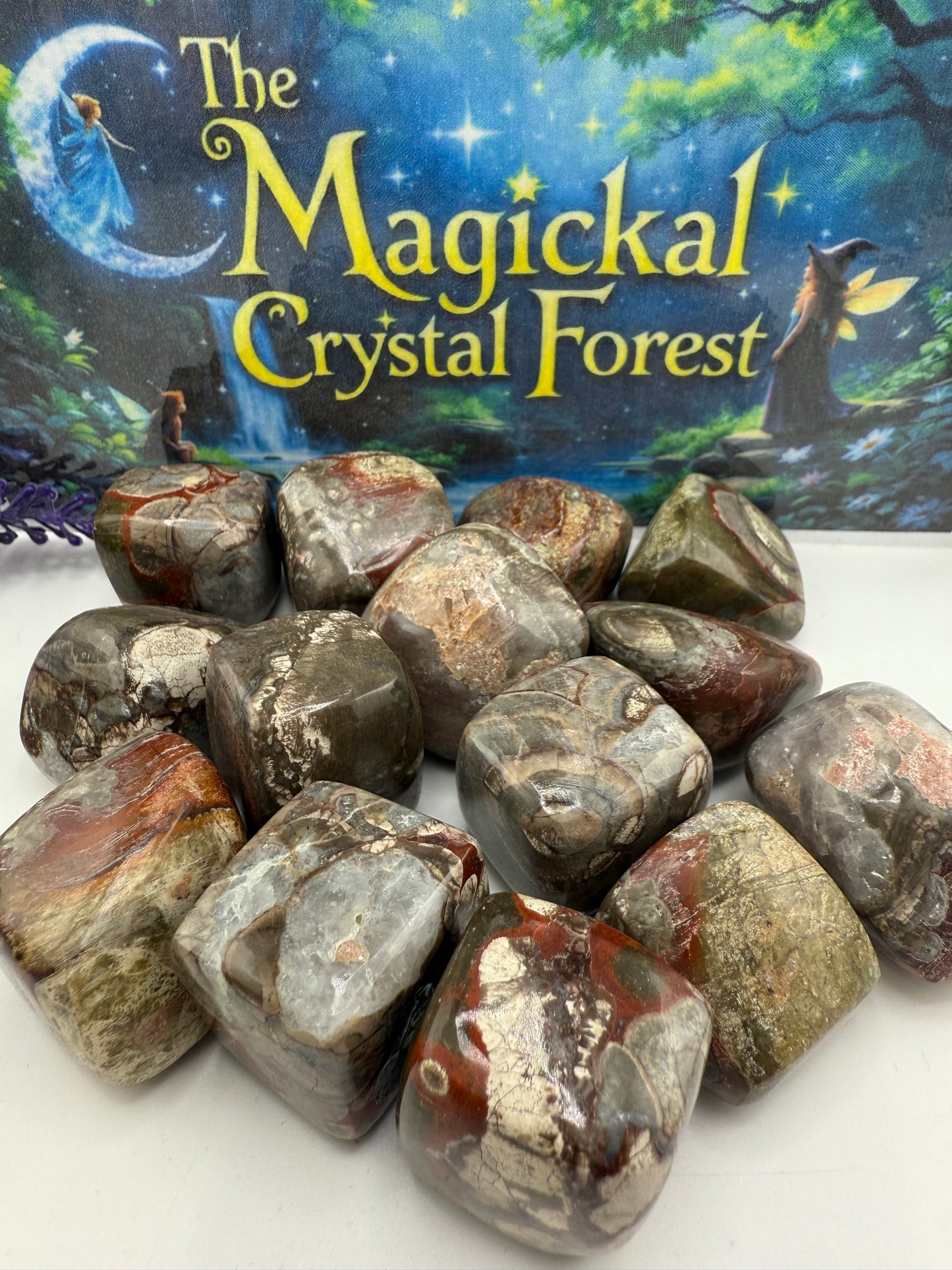 Mushroom Jasper Tumbled