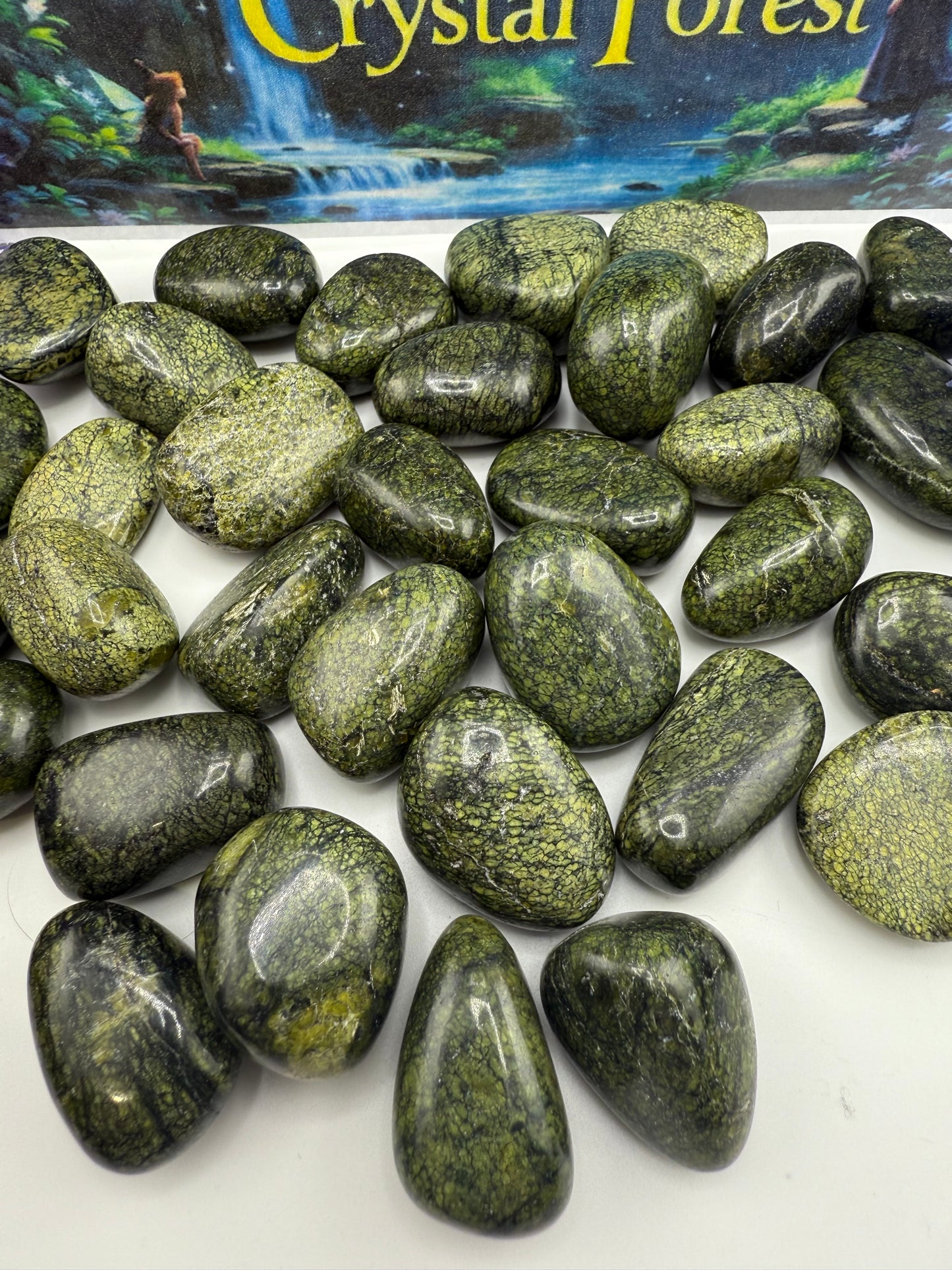 Green Snakeskin Jasper Tumbled