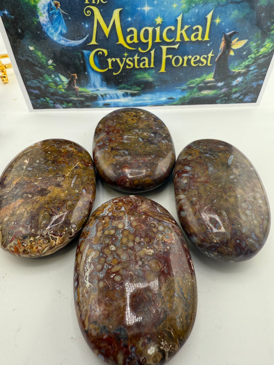 Stromatolite Palm Stone