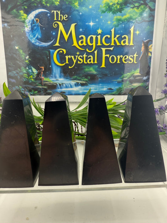 Shungite Points