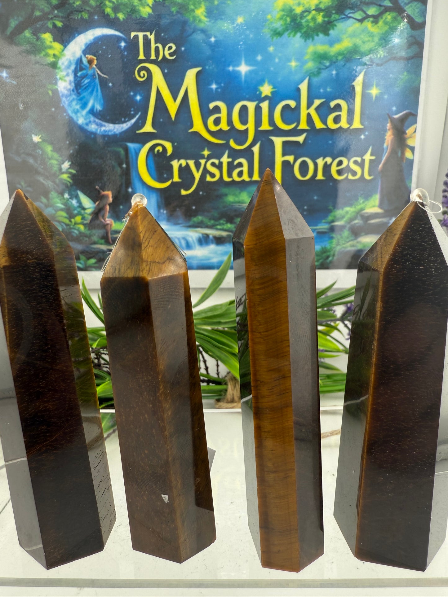 Gold Tigers eye points
