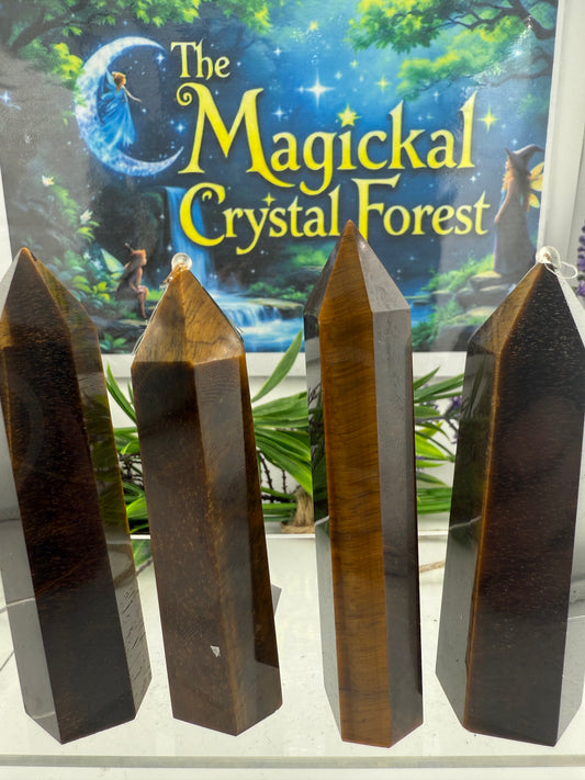 Gold Tigers eye points