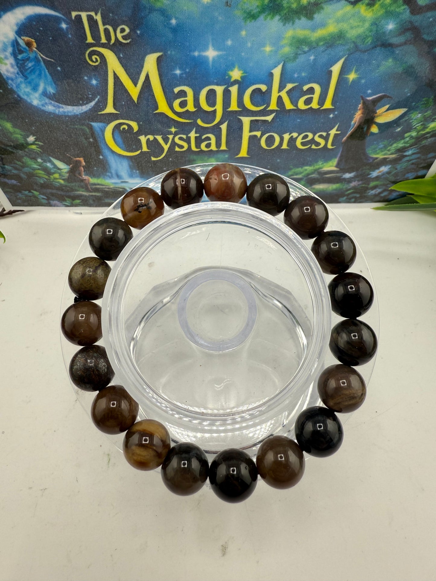 Petrified Wood Bead  Bracelet 8mm