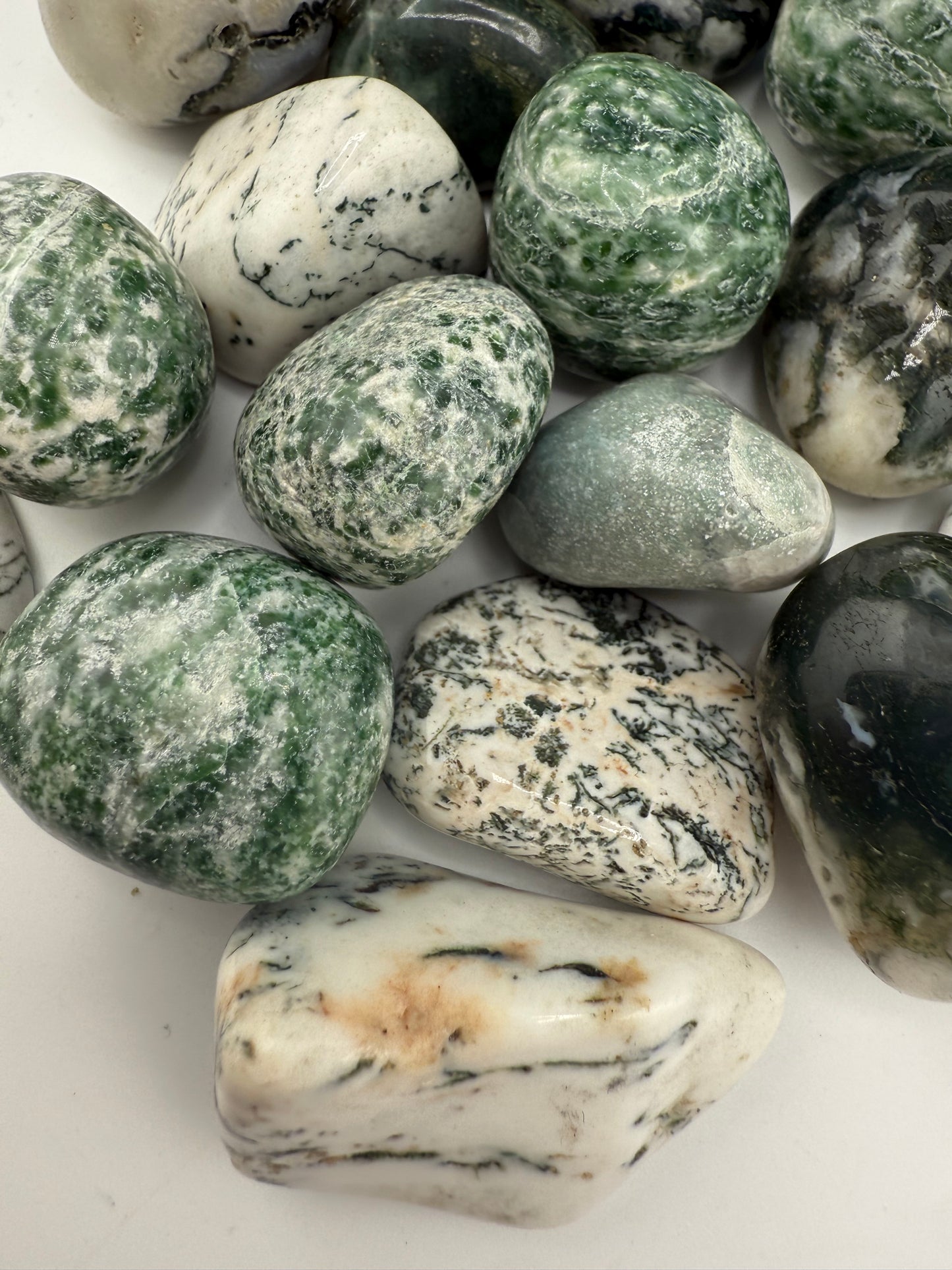 Tree Agate Tumbled