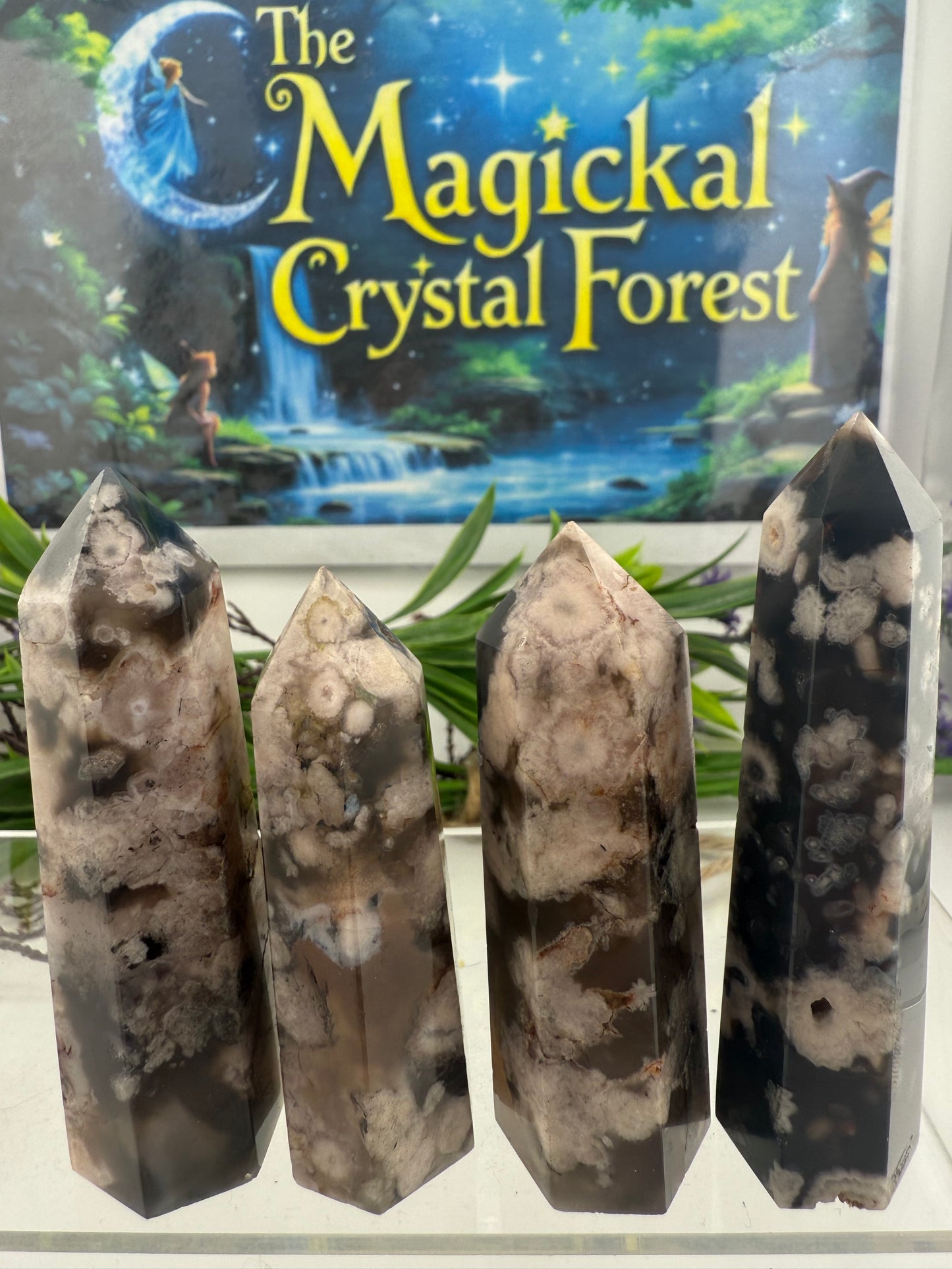 Black Flower Agate Points