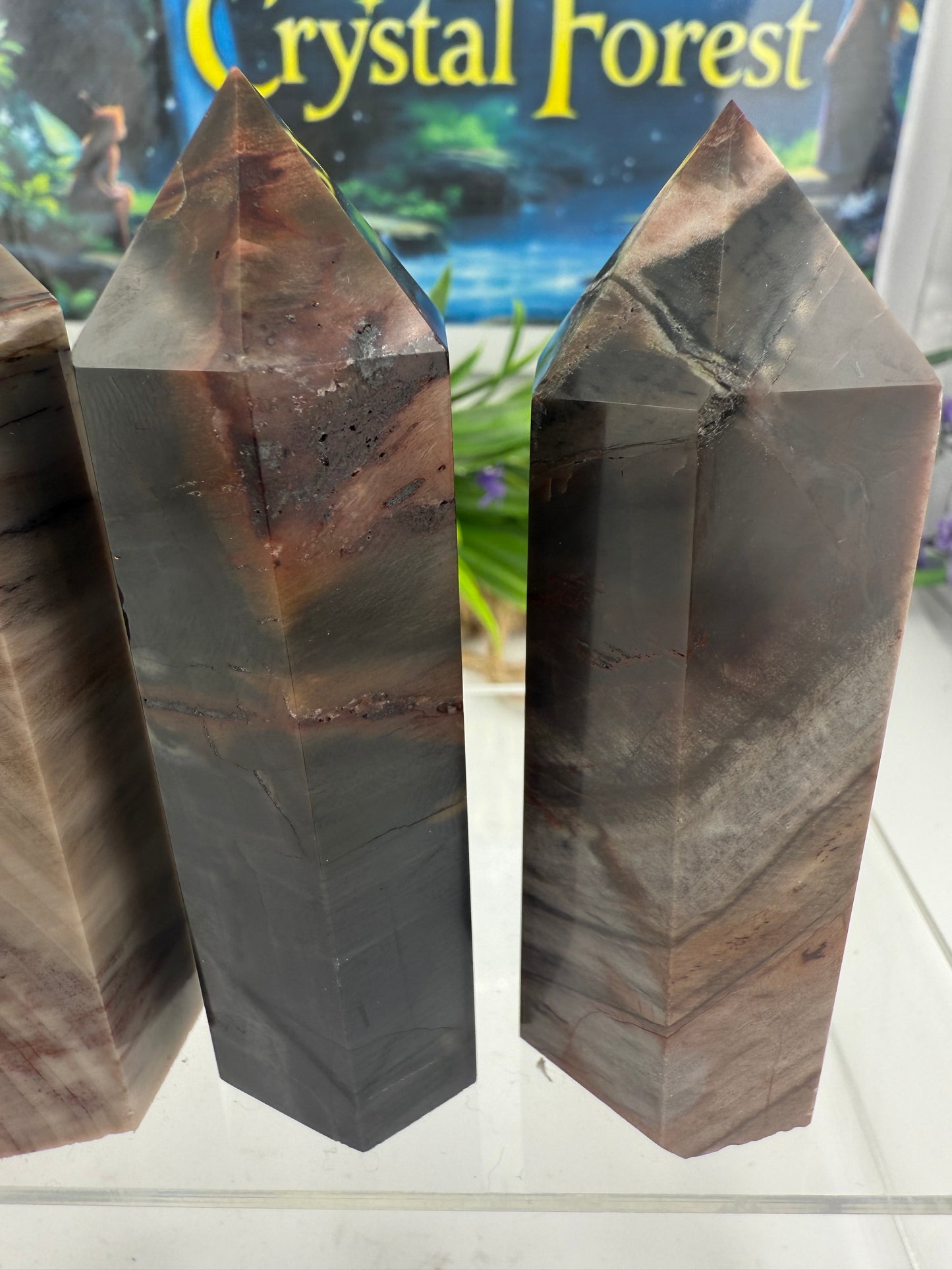 Petrified Wood Point
