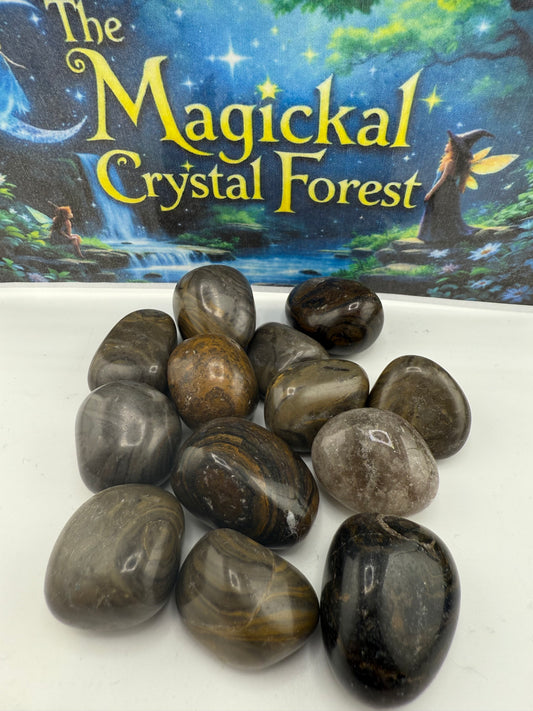 Stromatolite Tumbled