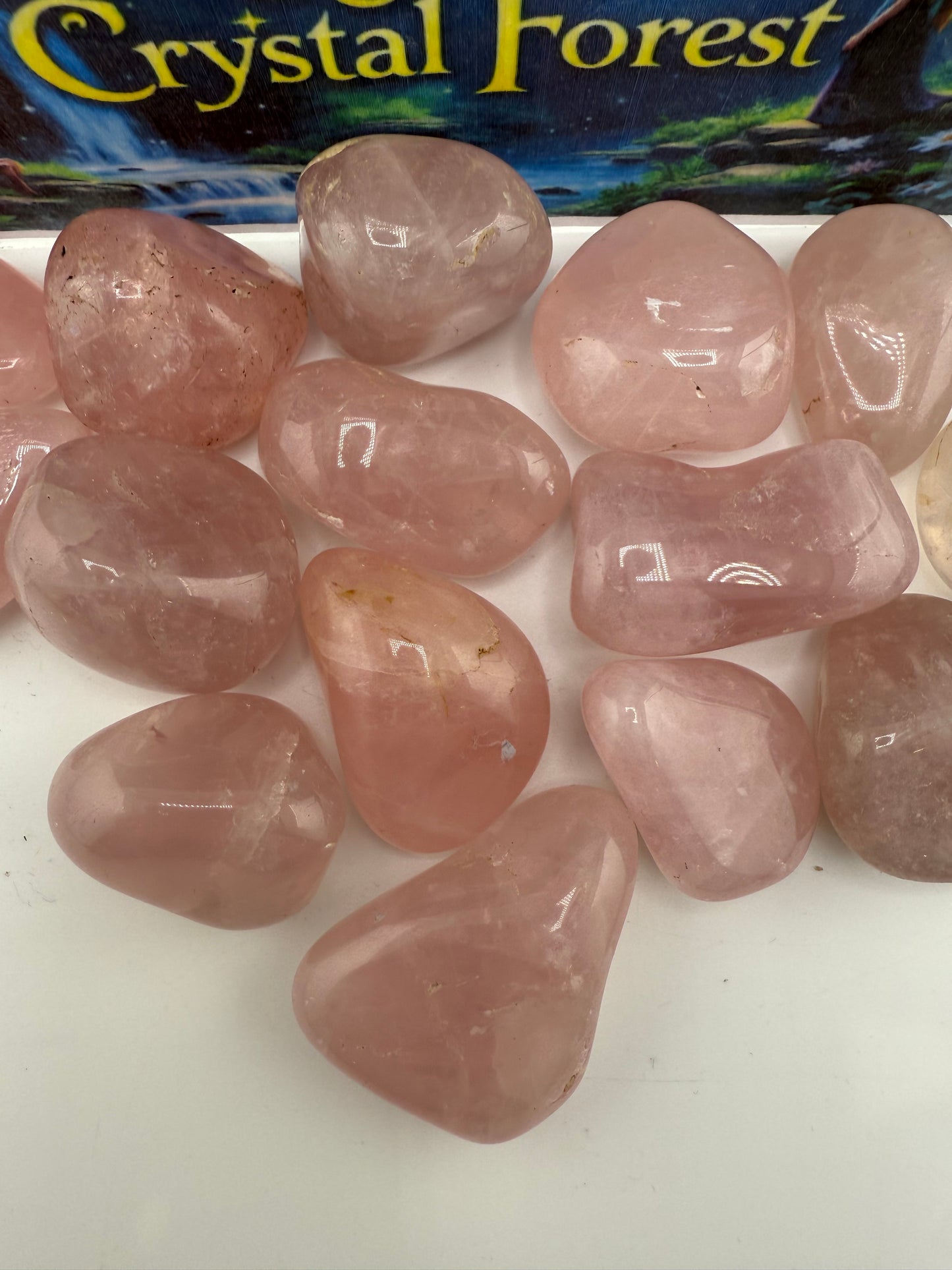 Rose Quartz Tumbled