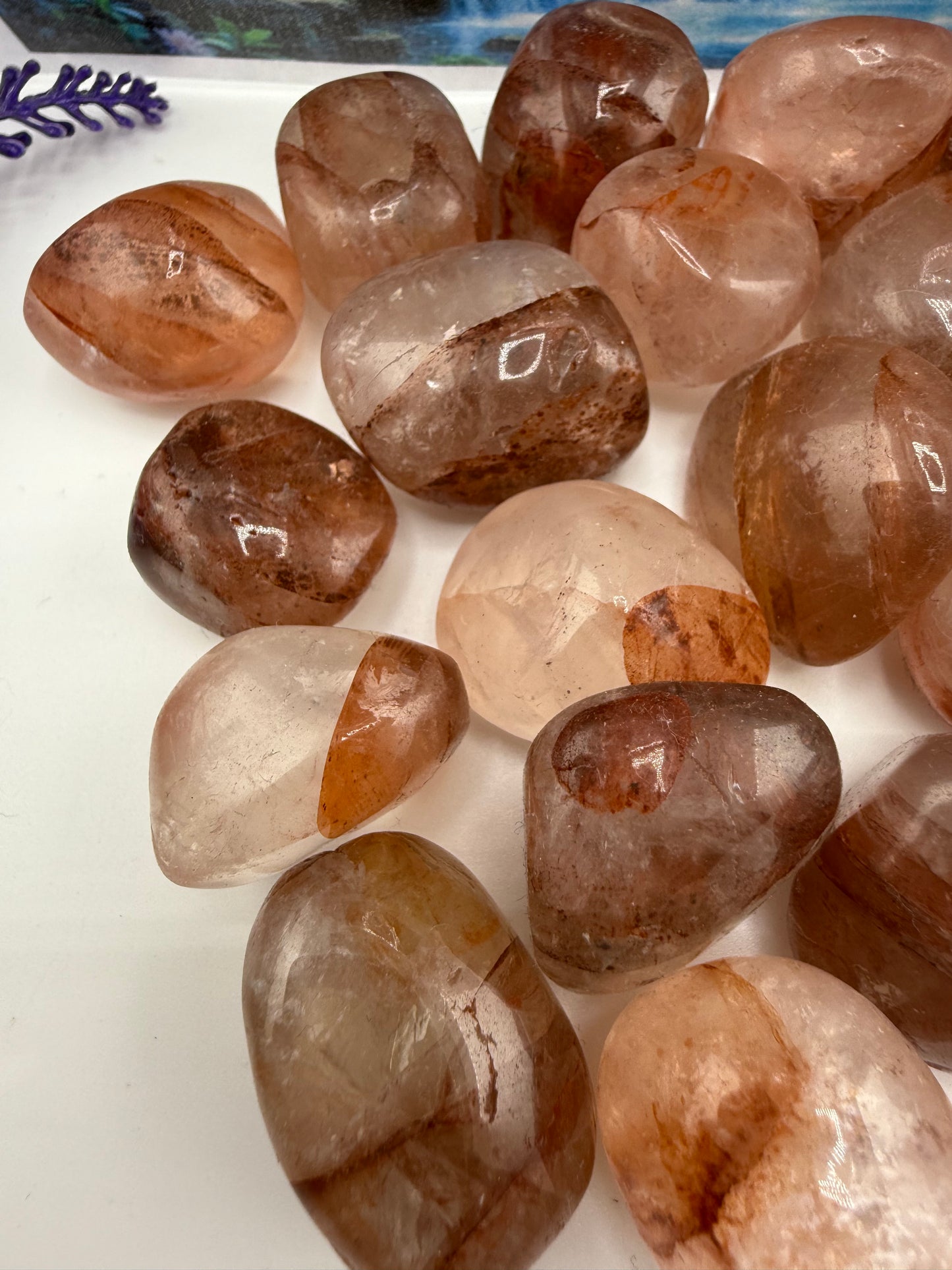 Amphibole Quartz Tumbled