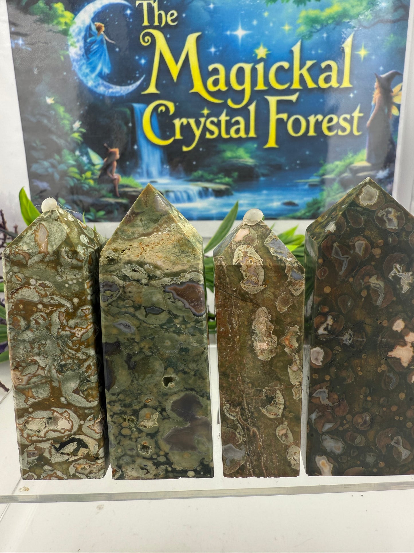 Rainforest Jasper (Rhyolite) Points