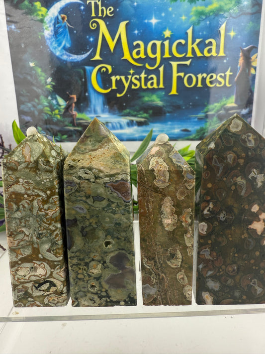 Rainforest Jasper (Rhyolite) Points