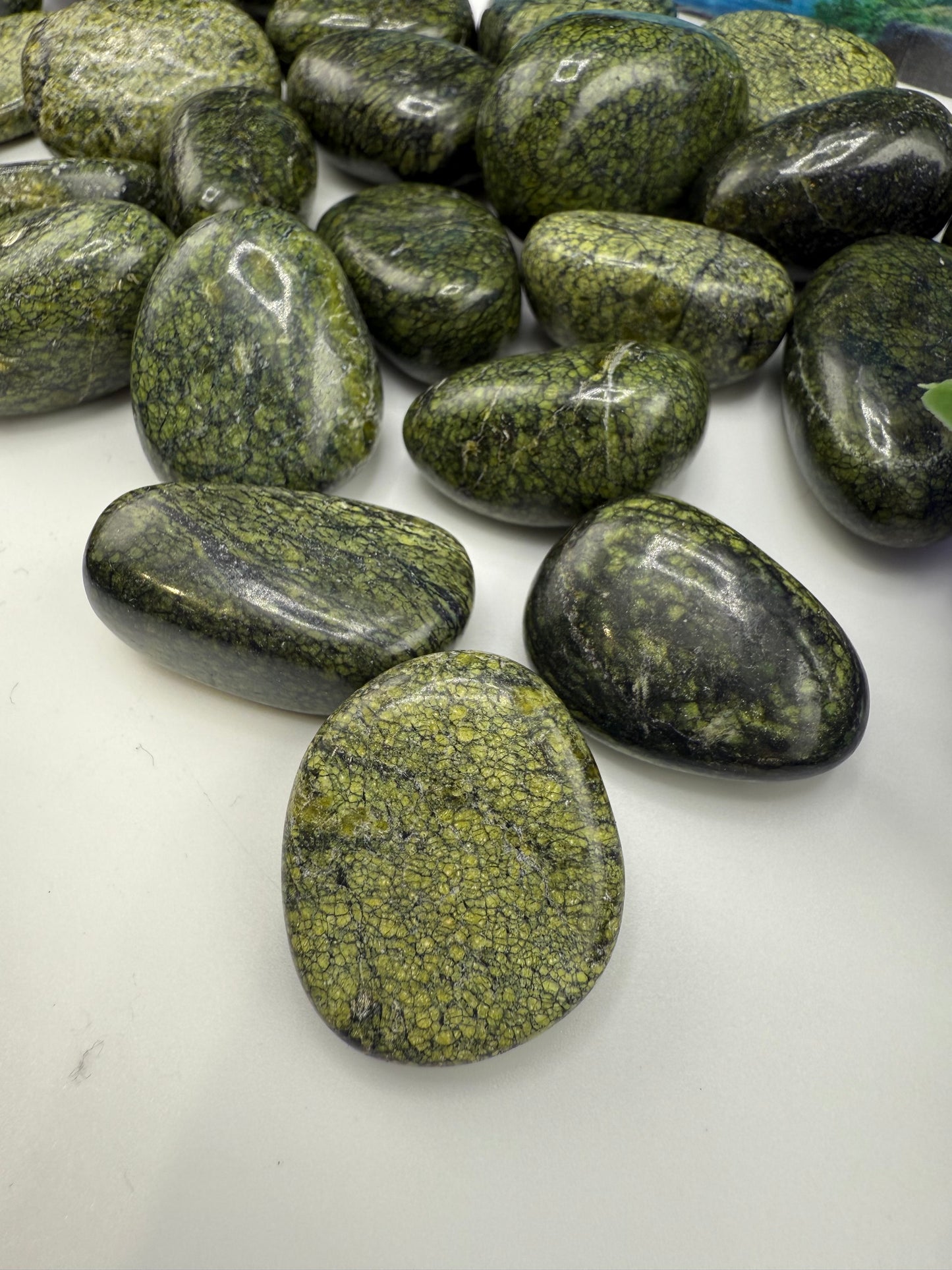 Green Snakeskin Jasper Tumbled