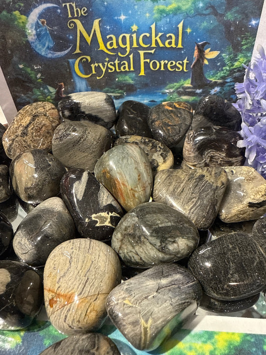 Black Silver Leaf Jasper Tumbled